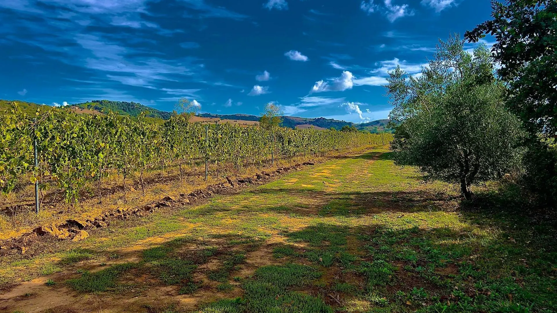 Carpine Agriturismo Bio In Maremma Alberese