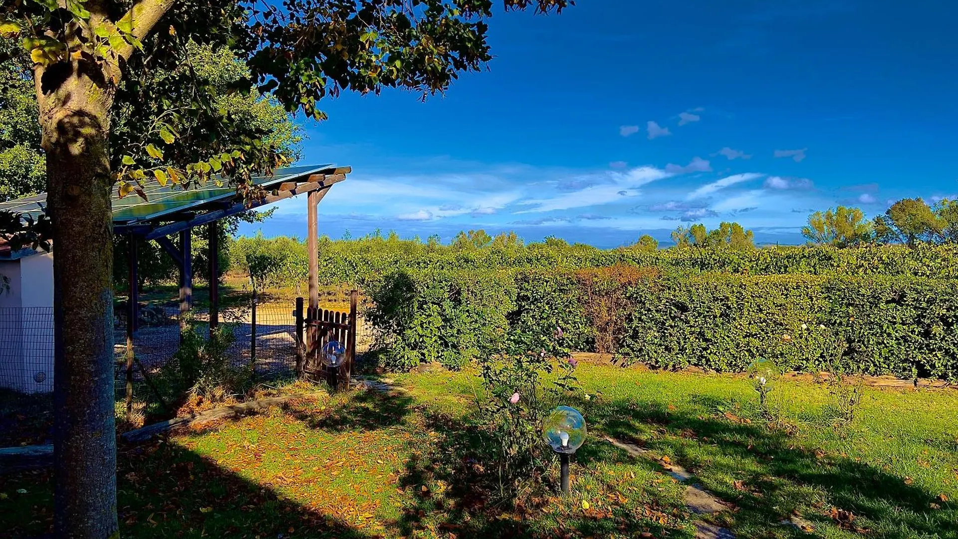Carpine Agriturismo Bio In Maremma Alberese Apartment