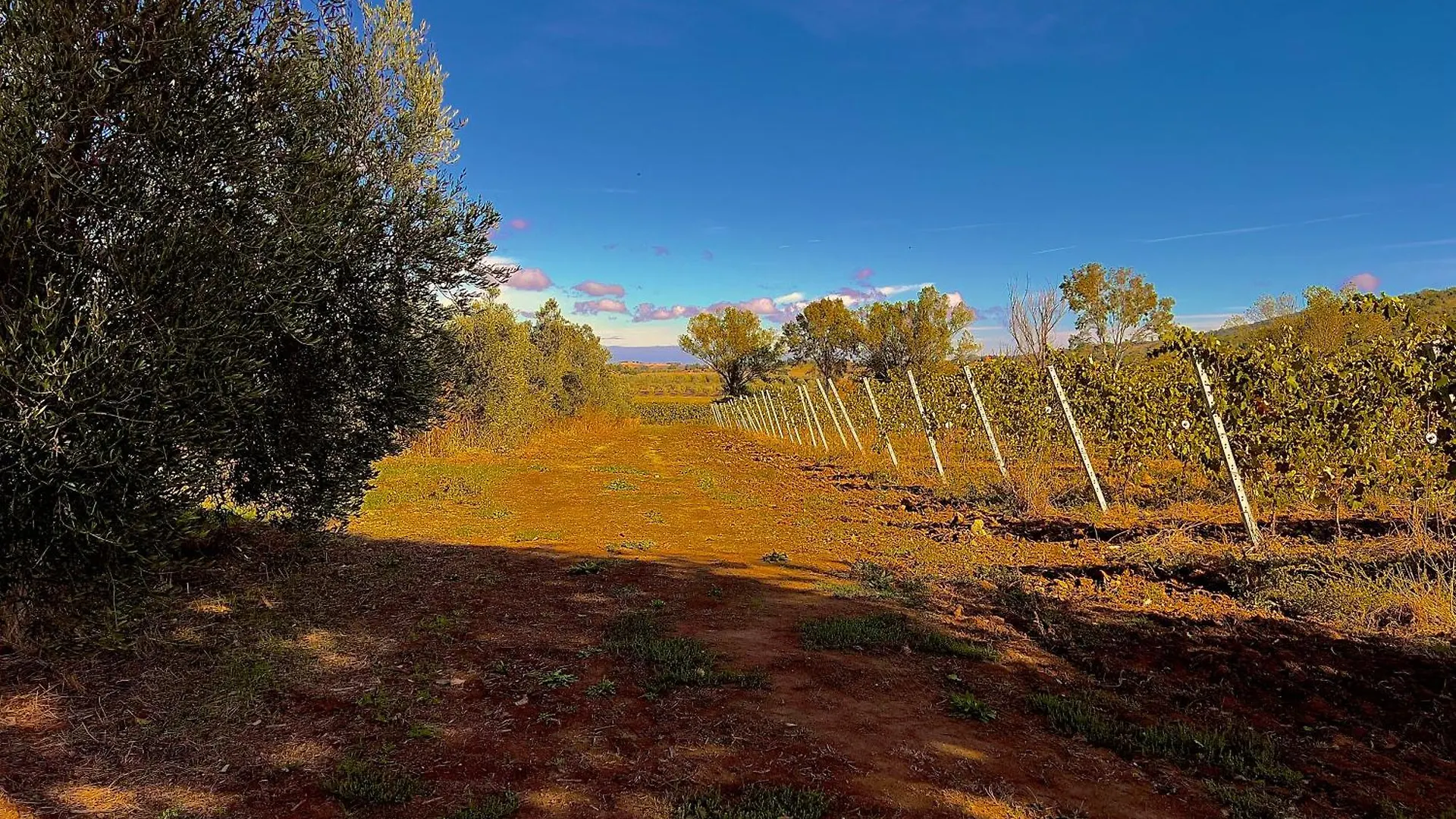 Carpine Agriturismo Bio In Maremma Alberese
