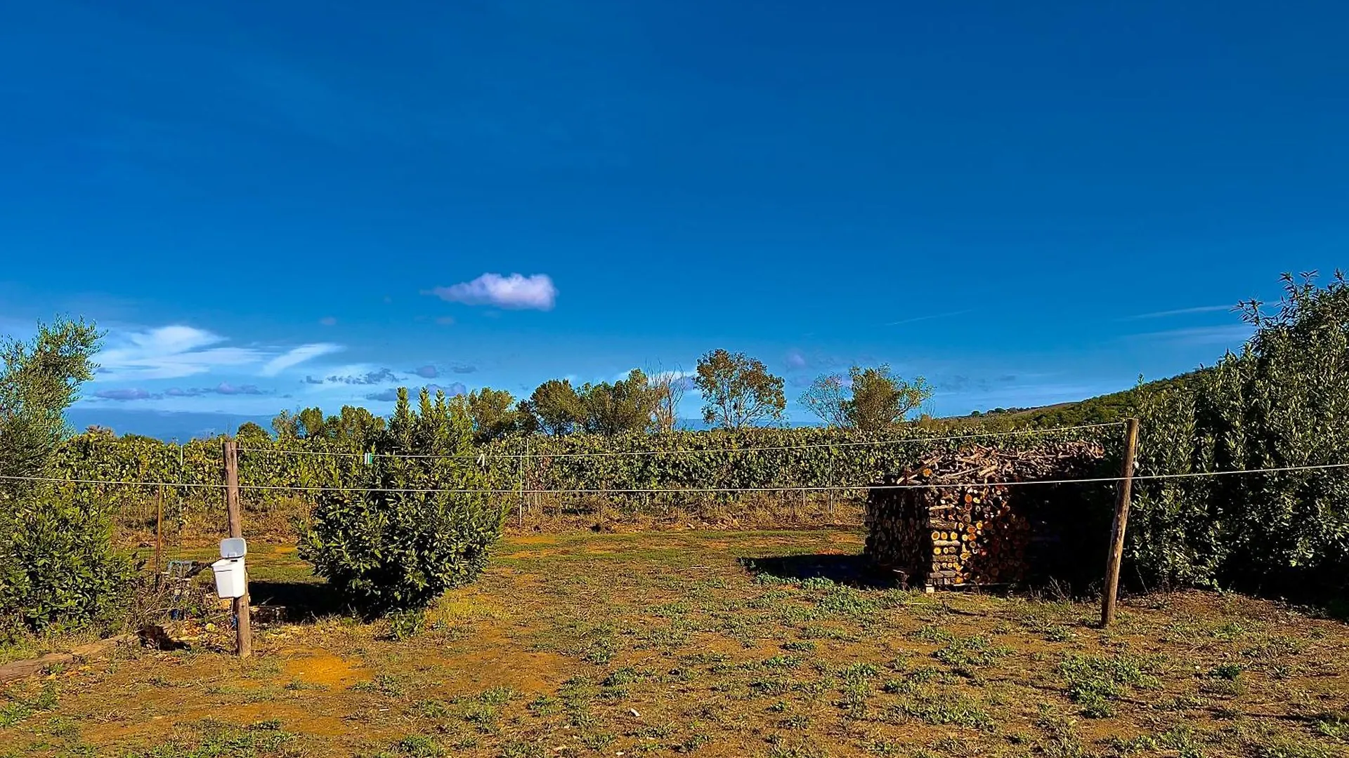 Apartment Carpine Agriturismo Bio In Maremma Alberese Italien