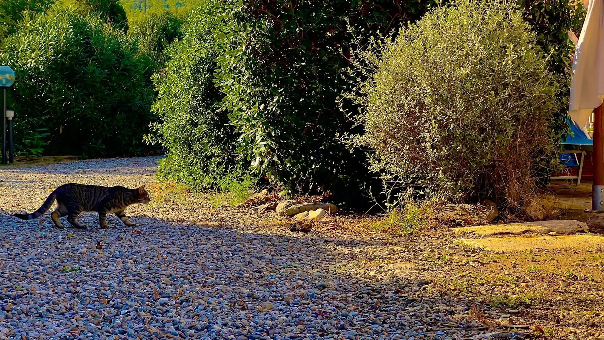 Lägenhet Carpine Agriturismo Bio In Maremma Alberese Italien