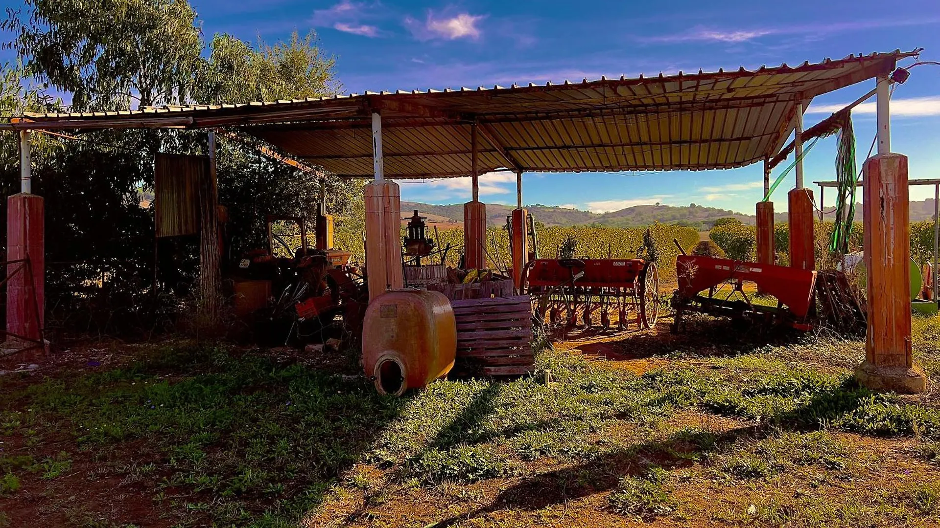 Lägenhet Carpine Agriturismo Bio In Maremma Alberese