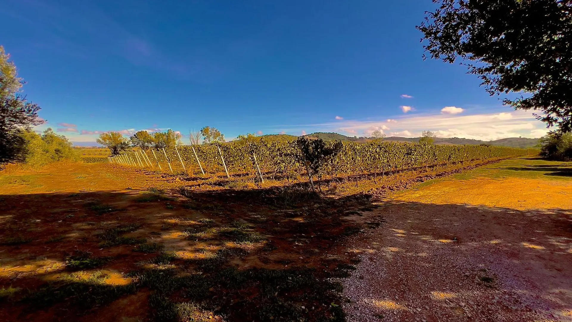 Carpine Agriturismo Bio In Maremma Alberese 0*,